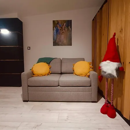 דירה Z Sauna דוז'ניקי ז'דרוז'